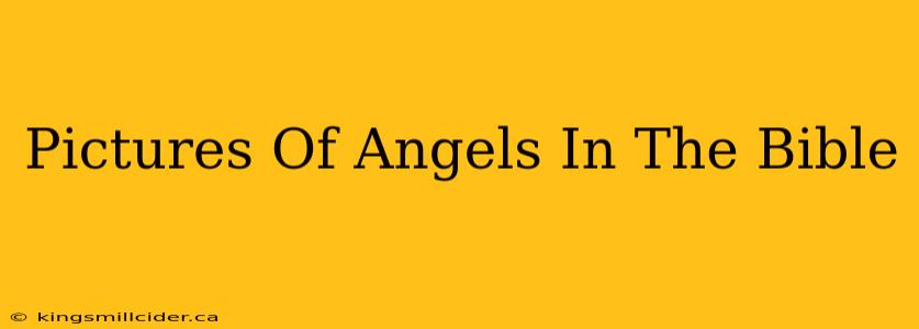 Pictures Of Angels In The Bible