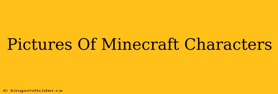 Pictures Of Minecraft Characters