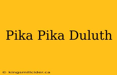 Pika Pika Duluth