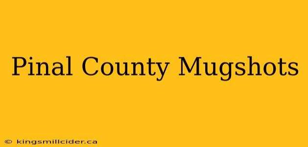 Pinal County Mugshots