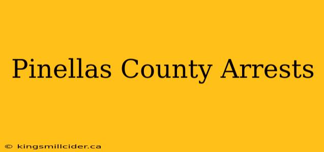 Pinellas County Arrests