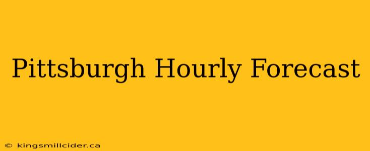 Pittsburgh Hourly Forecast