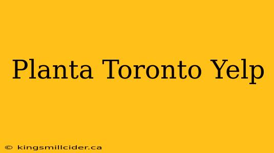 Planta Toronto Yelp