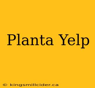 Planta Yelp