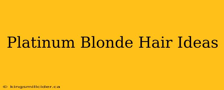 Platinum Blonde Hair Ideas