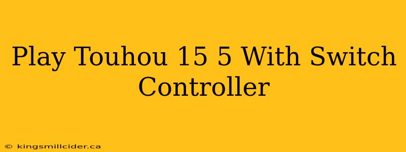 Play Touhou 15 5 With Switch Controller