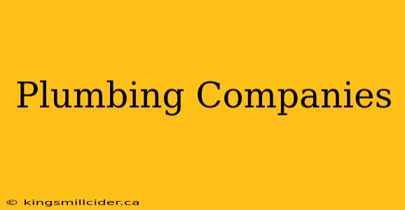 Plumbing Companies