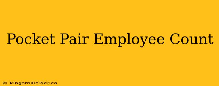 Pocket Pair Employee Count