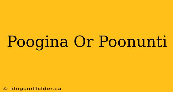 Poogina Or Poonunti