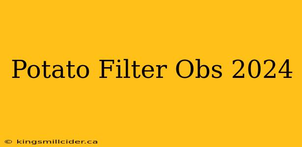 Potato Filter Obs 2024