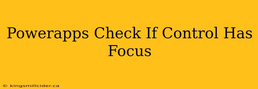 Powerapps Check If Control Has Focus