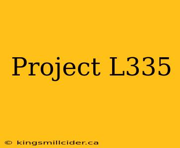 Project L335