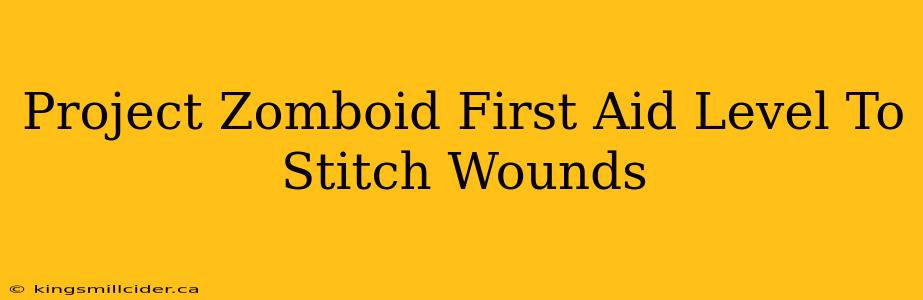 Project Zomboid First Aid Level To Stitch Wounds