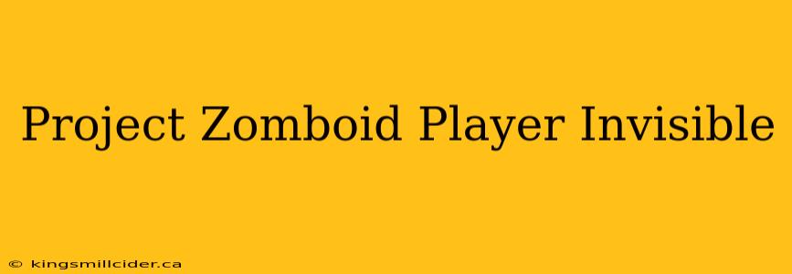 Project Zomboid Player Invisible