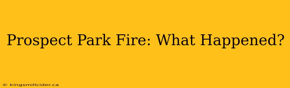 Prospect Park Fire: What Happened?