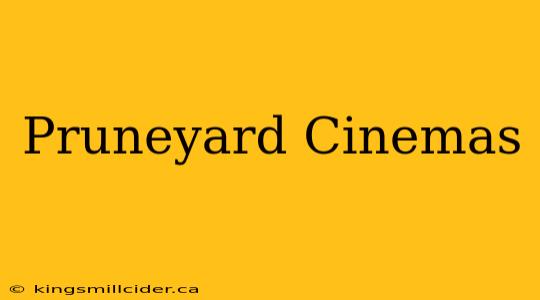 Pruneyard Cinemas