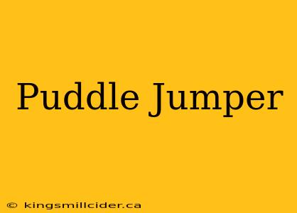 Puddle Jumper