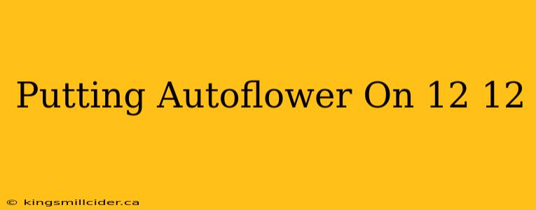 Putting Autoflower On 12 12