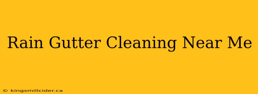 Rain Gutter Cleaning Near Me