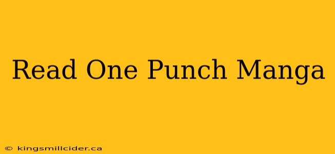 Read One Punch Manga