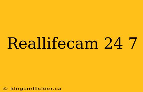 Reallifecam 24 7