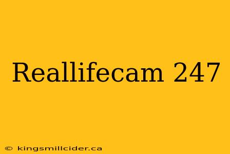 Reallifecam 247