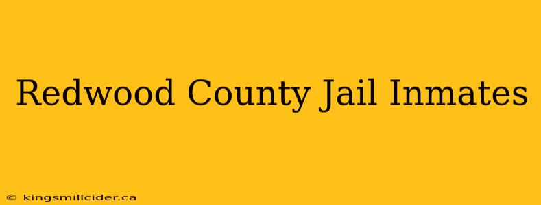 Redwood County Jail Inmates