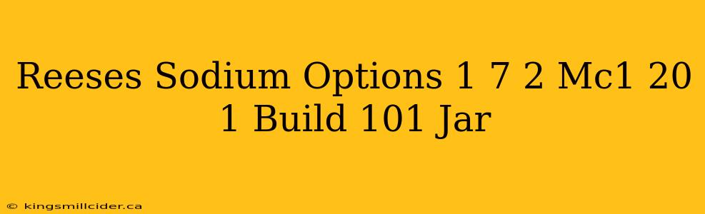 Reeses Sodium Options 1 7 2 Mc1 20 1 Build 101 Jar