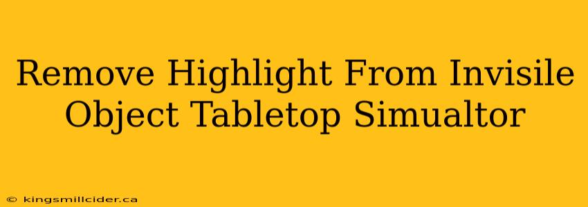 Remove Highlight From Invisile Object Tabletop Simualtor