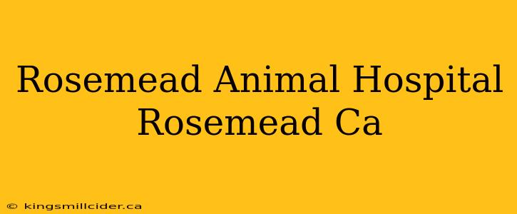 Rosemead Animal Hospital Rosemead Ca