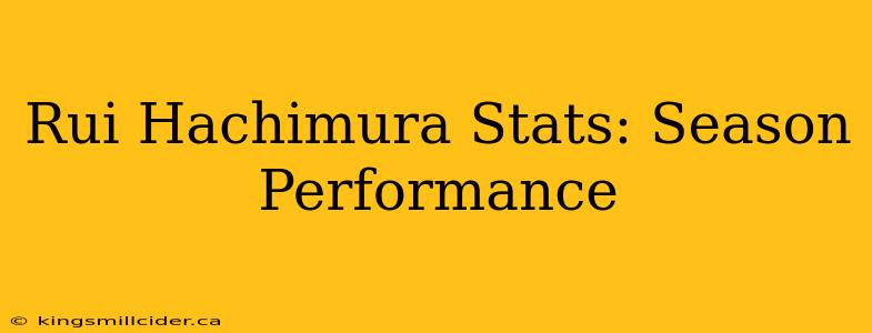 Rui Hachimura Stats: Season Performance