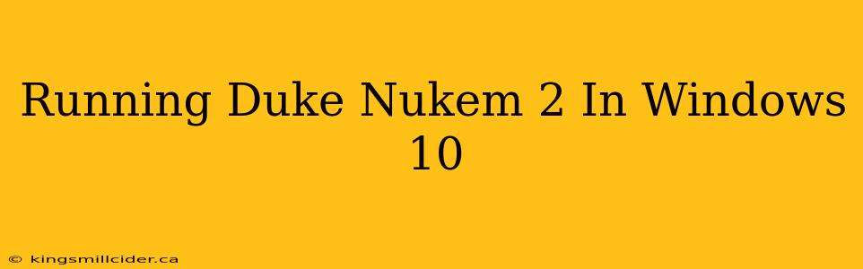 Running Duke Nukem 2 In Windows 10