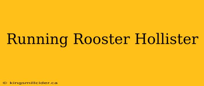 Running Rooster Hollister