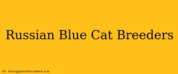 Russian Blue Cat Breeders