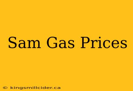 Sam Gas Prices