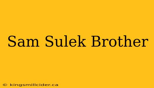 Sam Sulek Brother