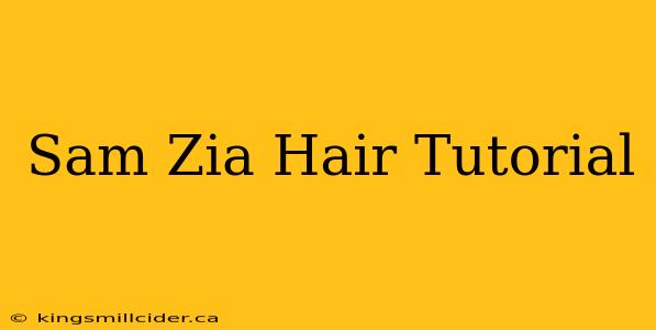 Sam Zia Hair Tutorial