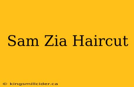 Sam Zia Haircut