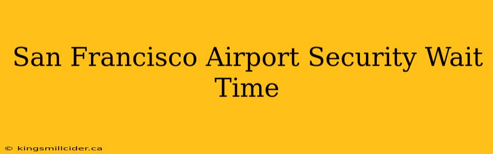 San Francisco Airport Security Wait Time