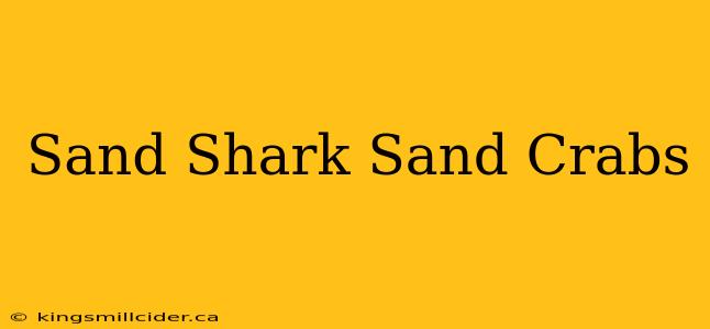 Sand Shark Sand Crabs