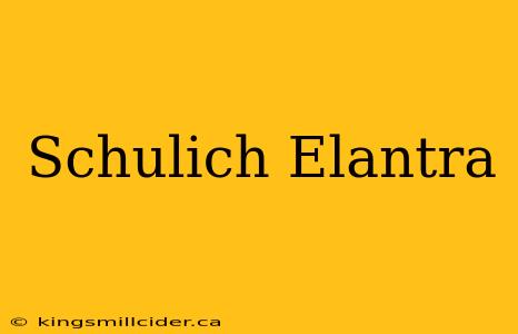 Schulich Elantra