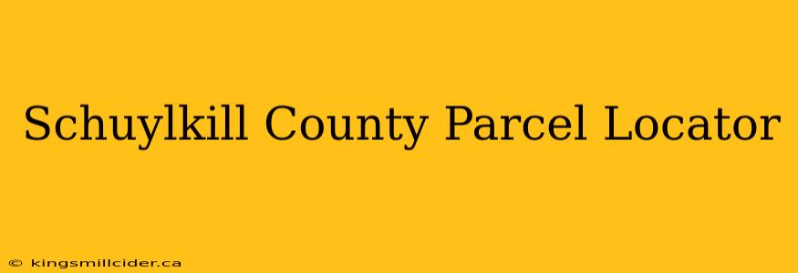 Schuylkill County Parcel Locator