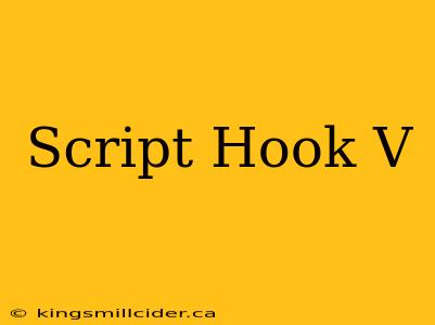 Script Hook V