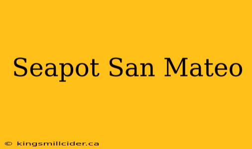 Seapot San Mateo