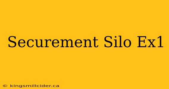 Securement Silo Ex1