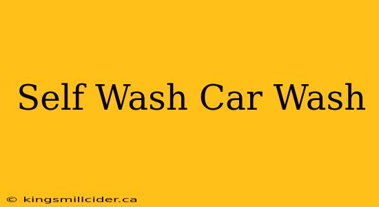 Self Wash Car Wash