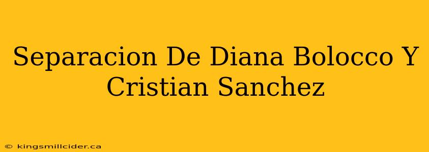 Separacion De Diana Bolocco Y Cristian Sanchez