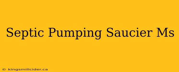 Septic Pumping Saucier Ms