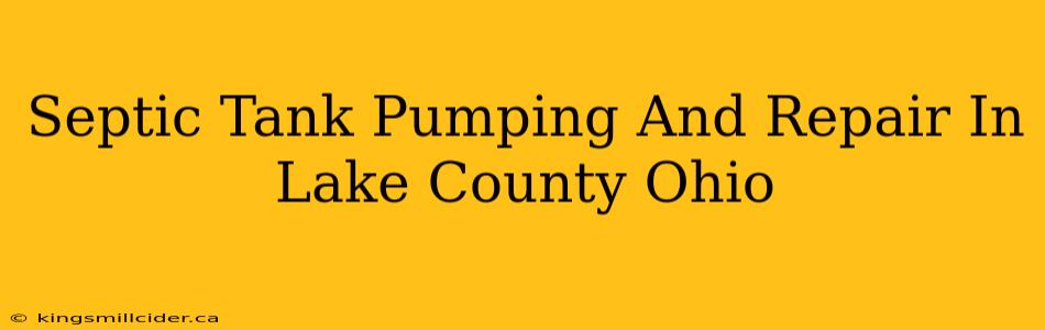 Septic Tank Pumping And Repair In Lake County Ohio