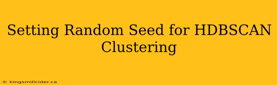 Setting Random Seed for HDBSCAN Clustering